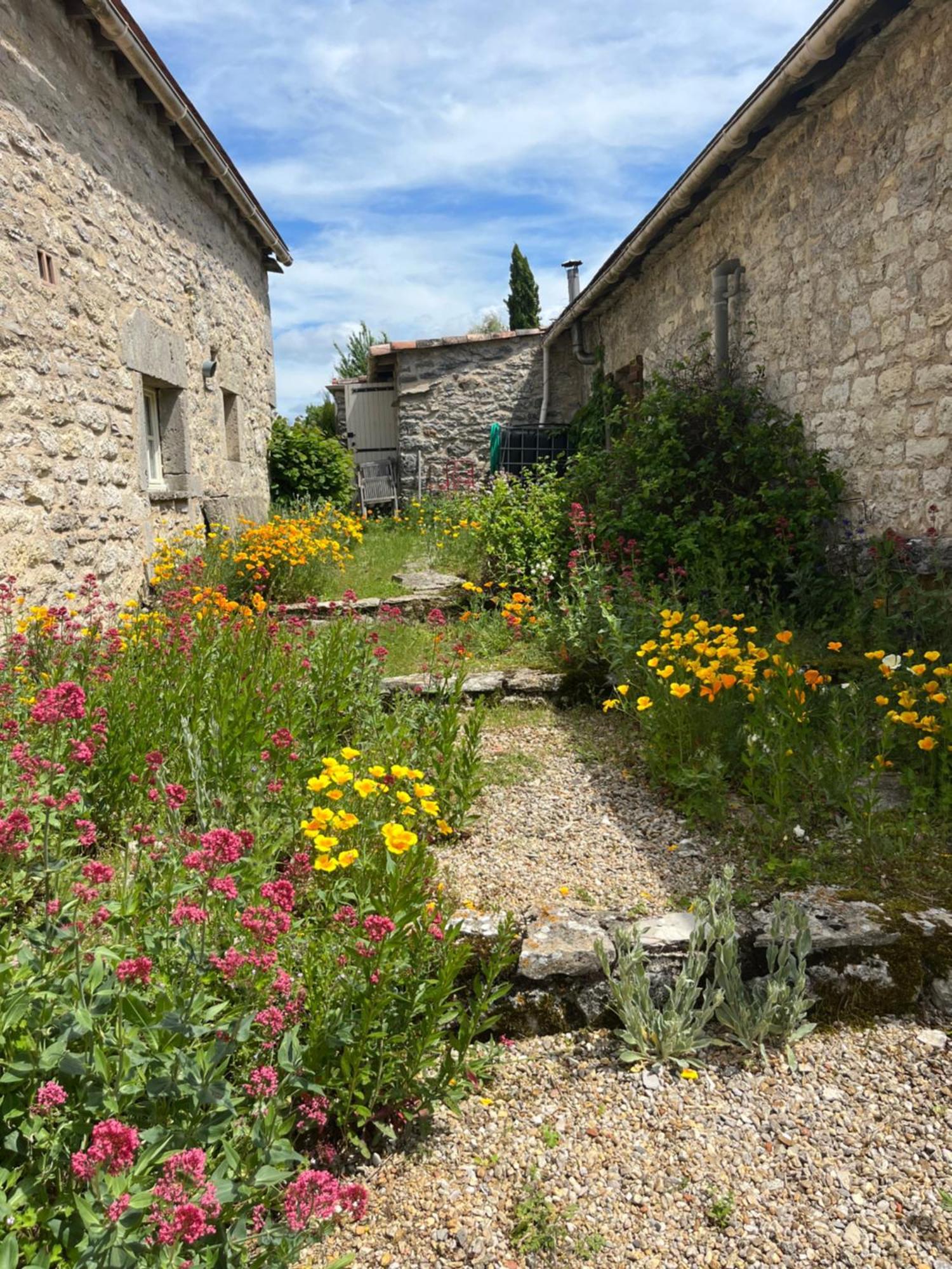 Les Gites Perard Caylus ภายนอก รูปภาพ