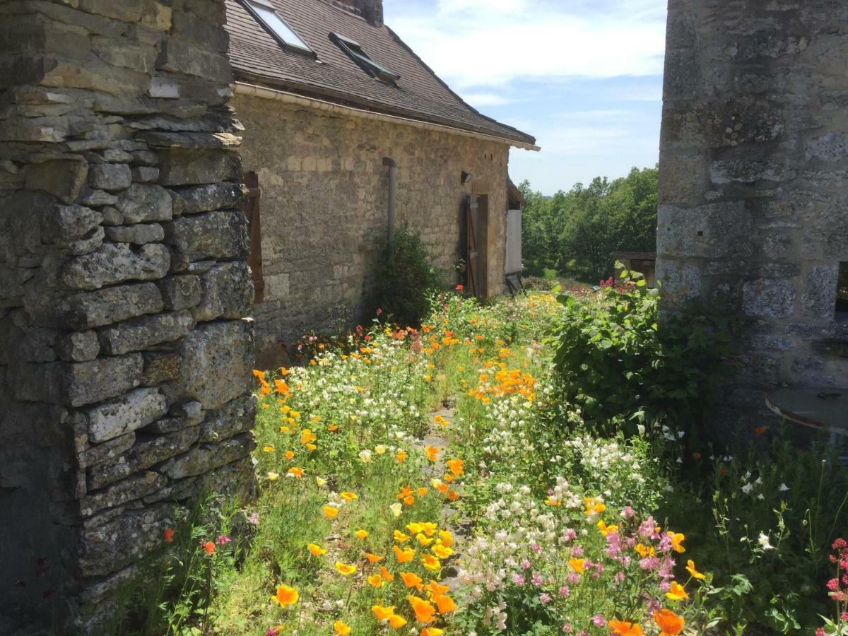 Les Gites Perard Caylus ภายนอก รูปภาพ