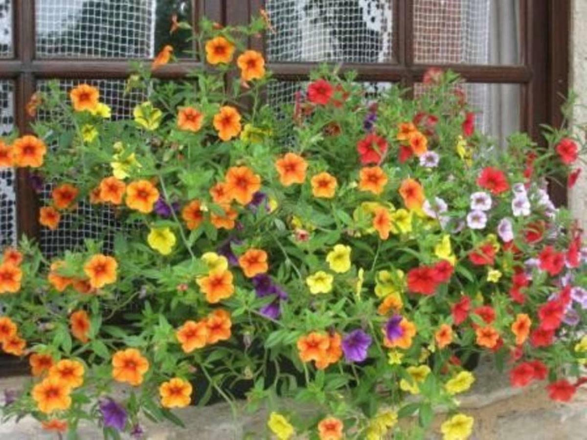 Les Gites Perard Caylus ภายนอก รูปภาพ